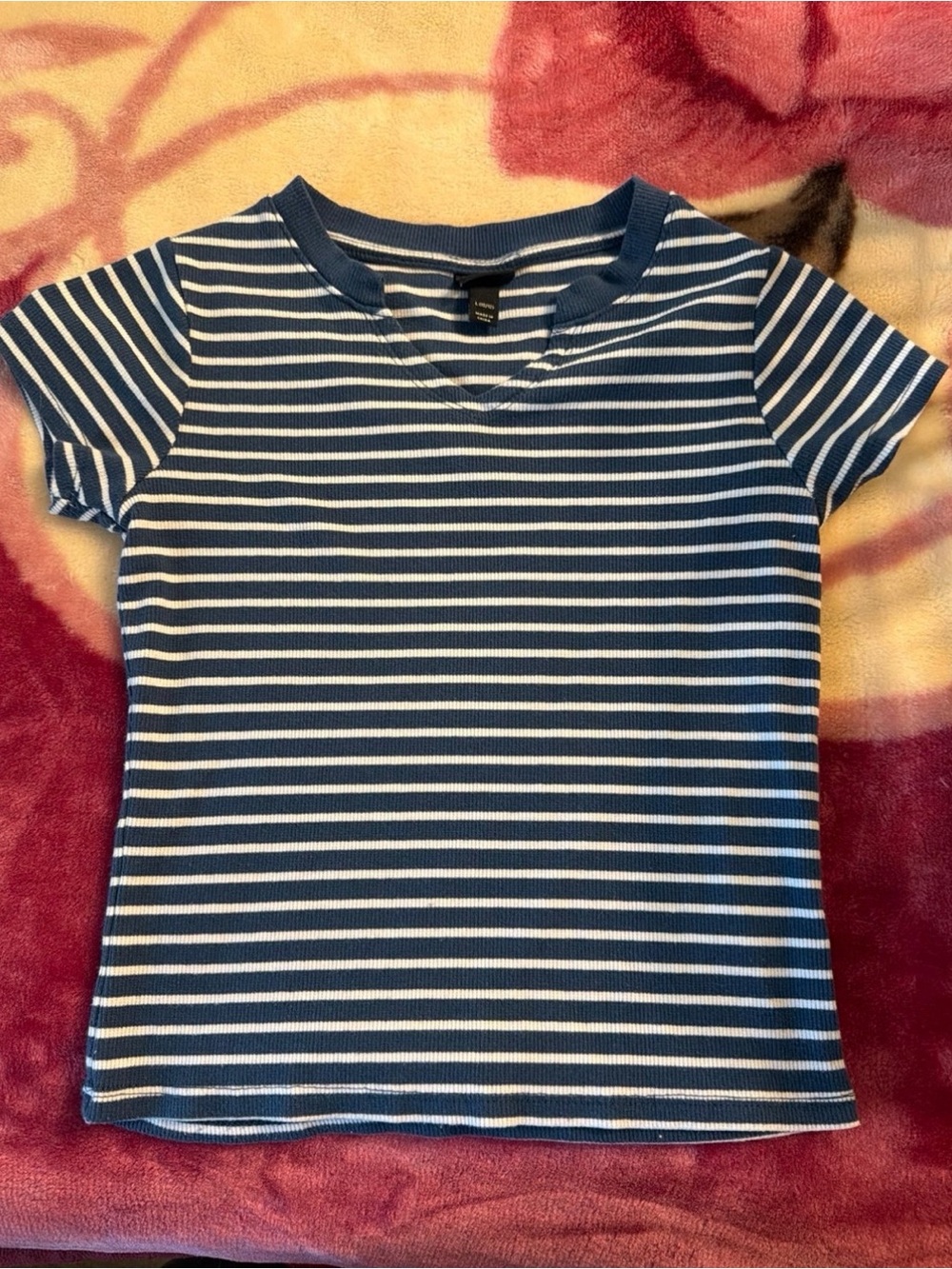 art class Blue & White Striped Short Sleeve Tee